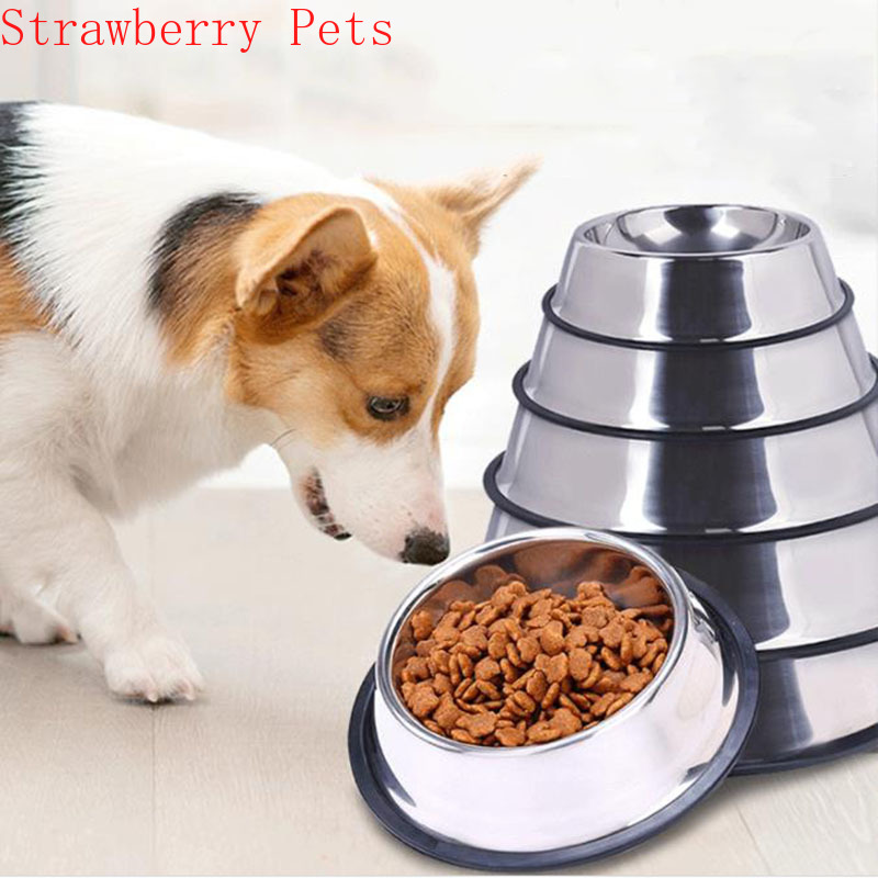 Miska dla psa ze stali nierdze – Dog Food Storage Xl recenzja i cena
