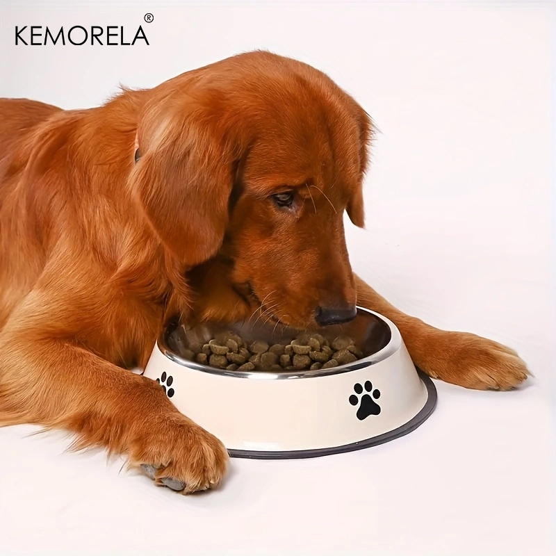 Miska dla psa ze stali nierdze – Dog Food Storage Xl recenzja i cena